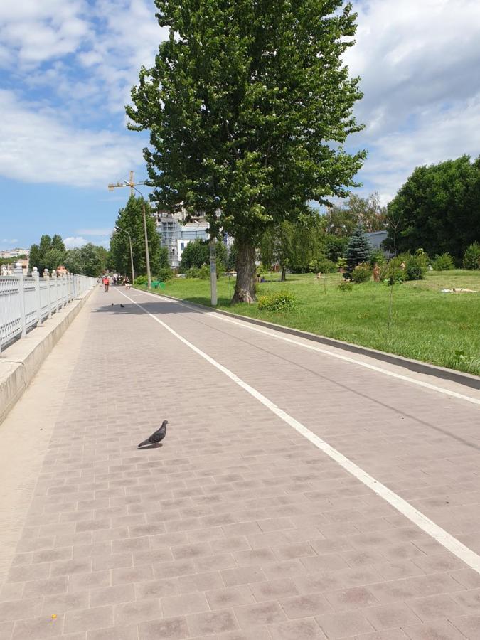 Стильна Квартира-Студія В Центрі Міста На Набережній テルノーピリ エクステリア 写真