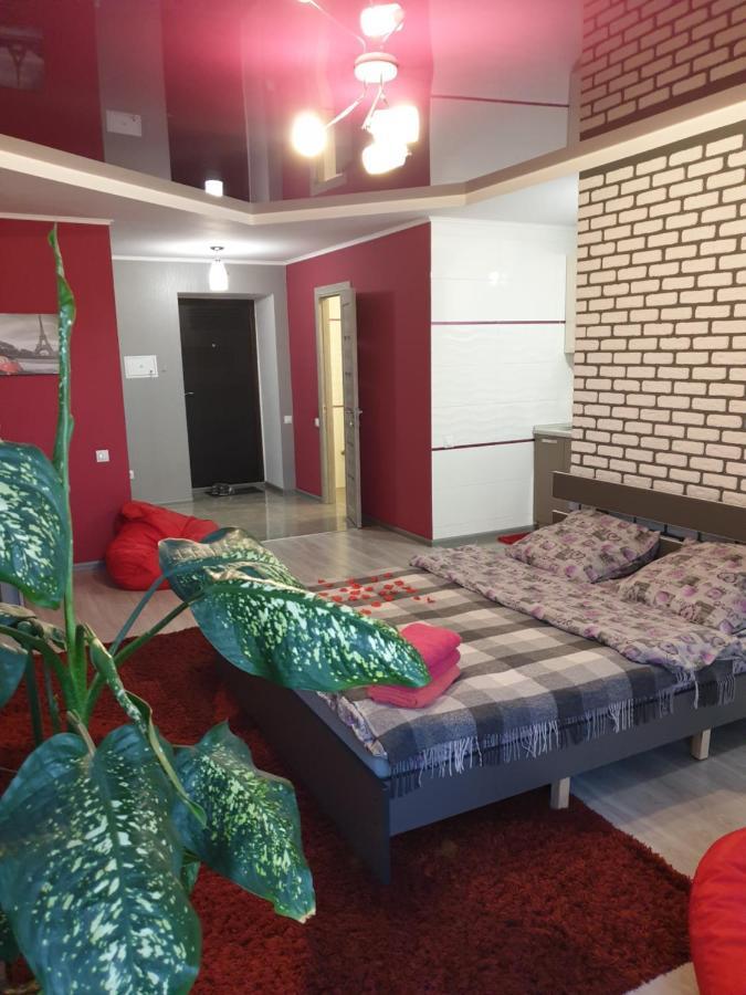 Стильна Квартира-Студія В Центрі Міста На Набережній テルノーピリ エクステリア 写真
